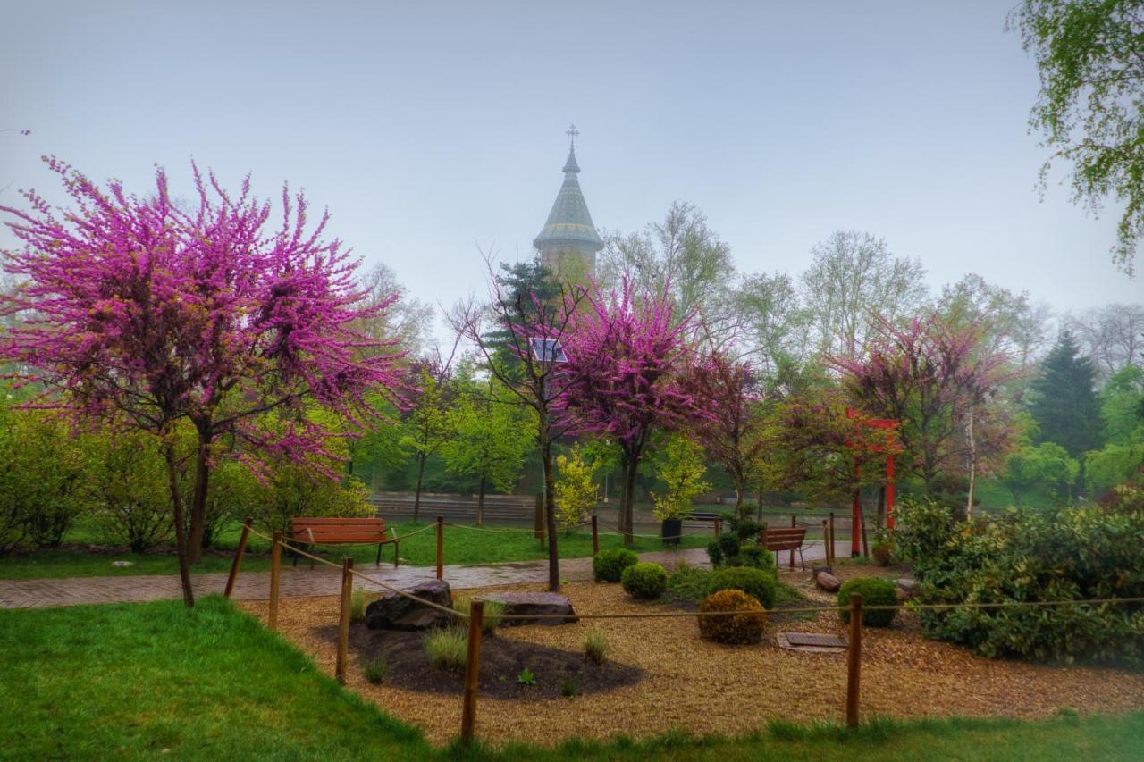 Take Pro Timisoara Apartment מראה חיצוני תמונה
